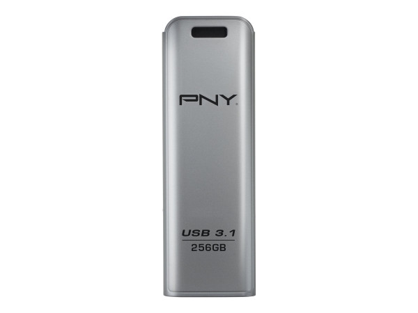 ram078-256-pny_1